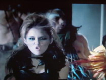 cant be tamed 11