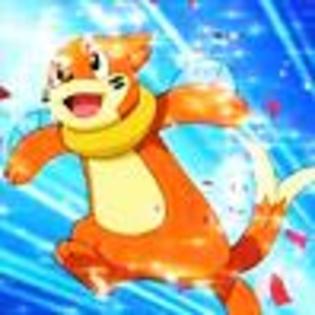 buizel: super lupta!!!1 - Pokemon - Toti pentru unul