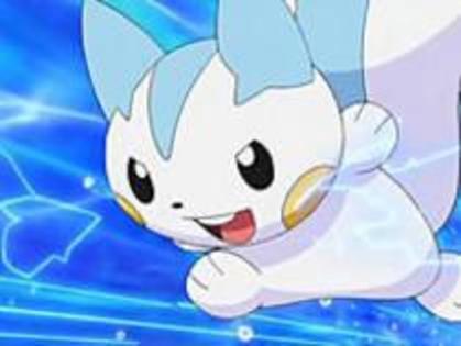 pachirisu: uite aici! - Pokemon - Toti pentru unul