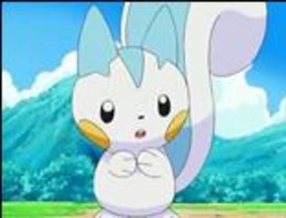 pachirisu: eu ma reintorc la gandurile mele! - Pokemon - Toti pentru unul