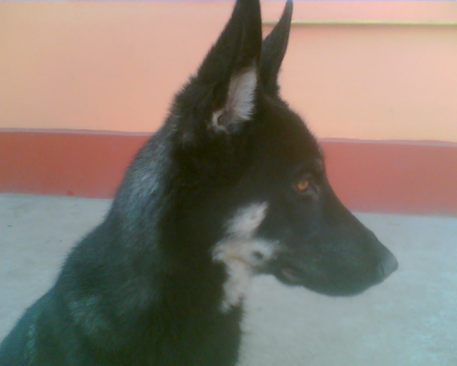 Imag000