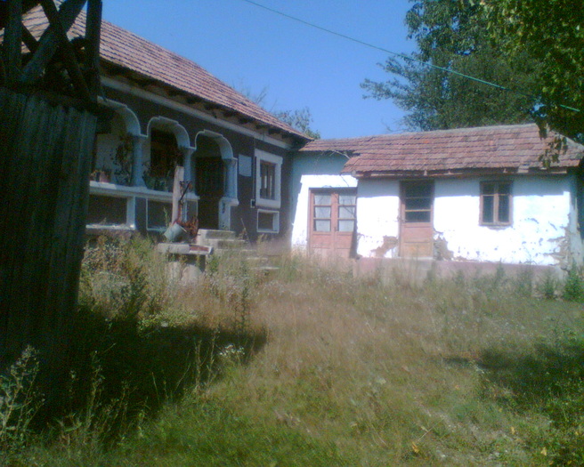 Imag020