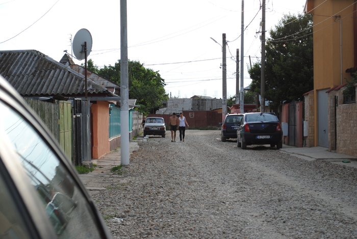 Picture 005