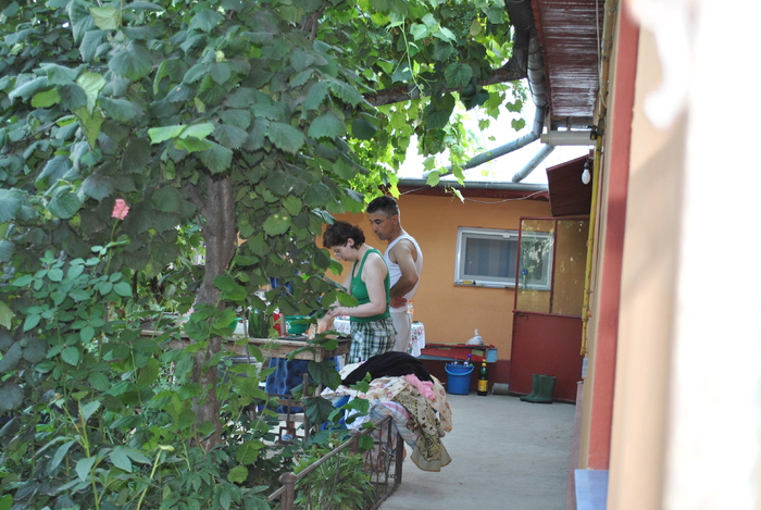 Picture 017