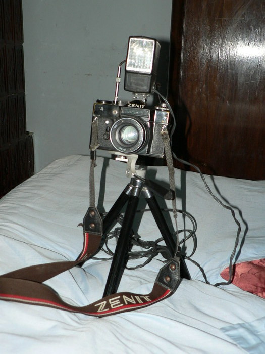 Picture 042