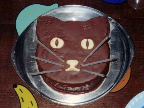 tort cat 20$ - Cofetaria Pokemon