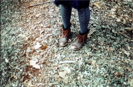 autumn001