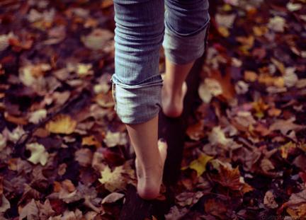 autumn002
