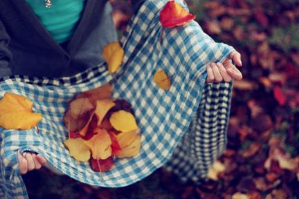 autumn005
