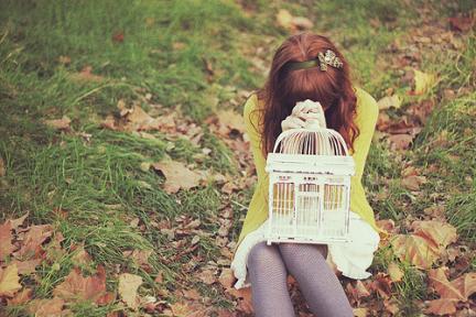 autumn006