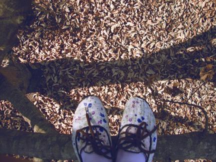 autumn009