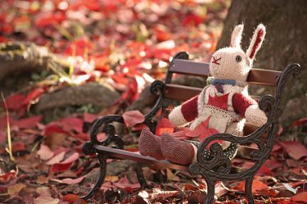 autumn015