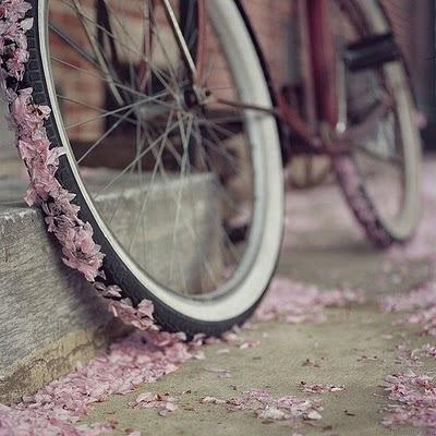 autumn016