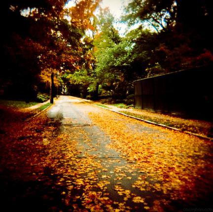 autumn019
