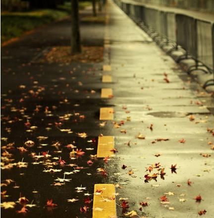 autumn020