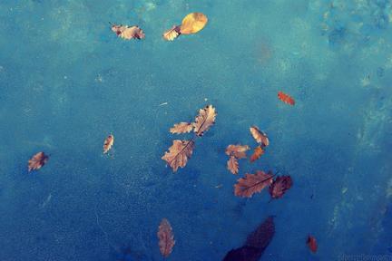 autumn021