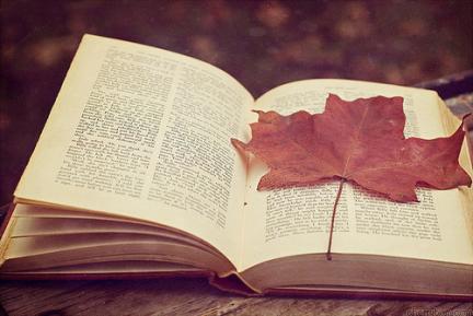 autumn024