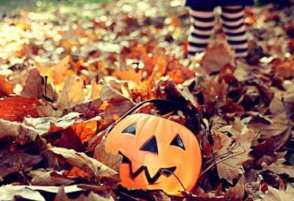 autumn026