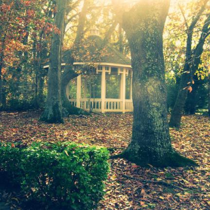 autumn036