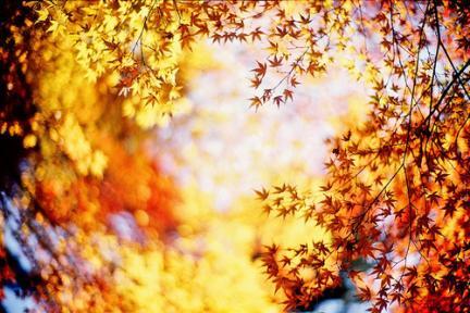 autumn052 - THUMBS PHOTO