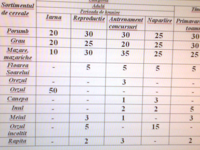 TABEL AMESTEC PE ANOTIMP - 8___Poze porumbei_compartimente_cupe_prieteni