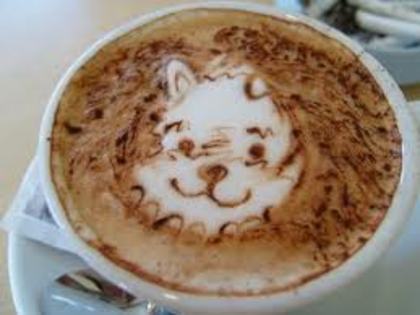 Miau! - Cafea