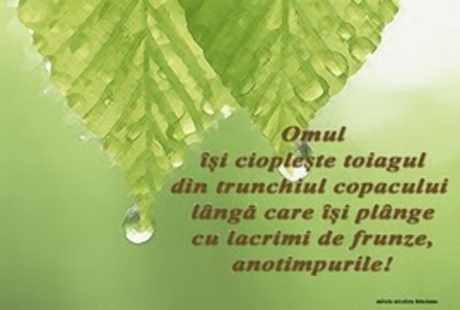 ggg - Danut           iubire