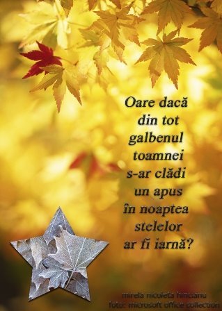 tttt - Danut           iubire
