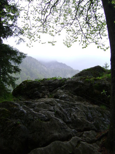 DSC00758 - STANA REGALA SINAIA-PIATRA ARSA