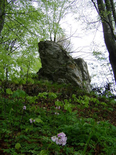 DSC00734 - STANA REGALA SINAIA-PIATRA ARSA