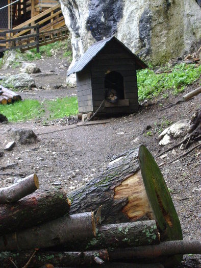 DSC00765 - STANA REGALA SINAIA-PIATRA ARSA