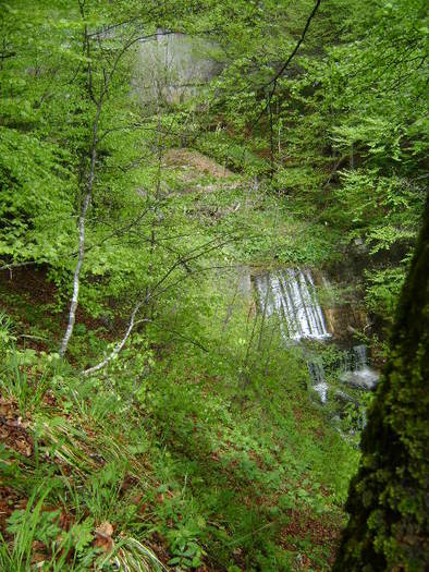DSC00801 - STANA REGALA SINAIA-PIATRA ARSA