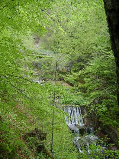DSC00809 - STANA REGALA SINAIA-PIATRA ARSA