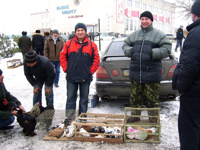 DSCI0108 - Targul Ovidiopol 2011