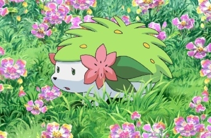 shaymin fata lvl 93 stie toate miscarile tip iarba,psihic si normal
