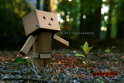 3479776612_05f170a95f[1]