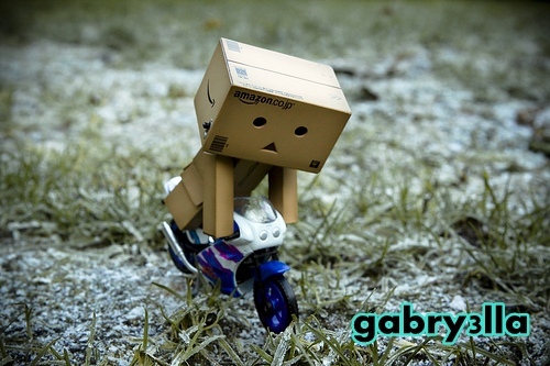 4241210212_f20ddd0752[1]