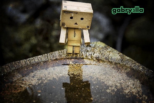 4290001453_2b84aa1294[1]