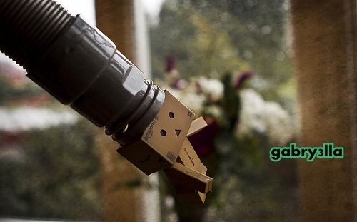 4294981815_bd8b46dc3a[1]