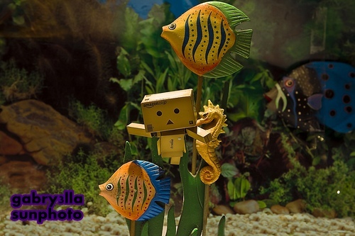 4309799684_39192785bb[1]