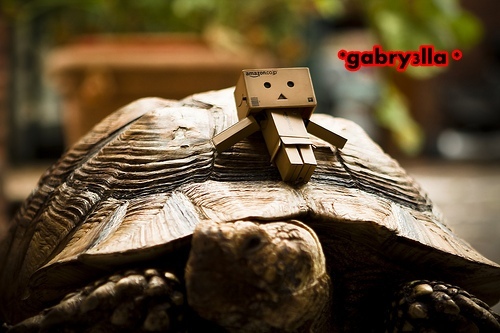 4338123115_bd7e2d5a82[1]