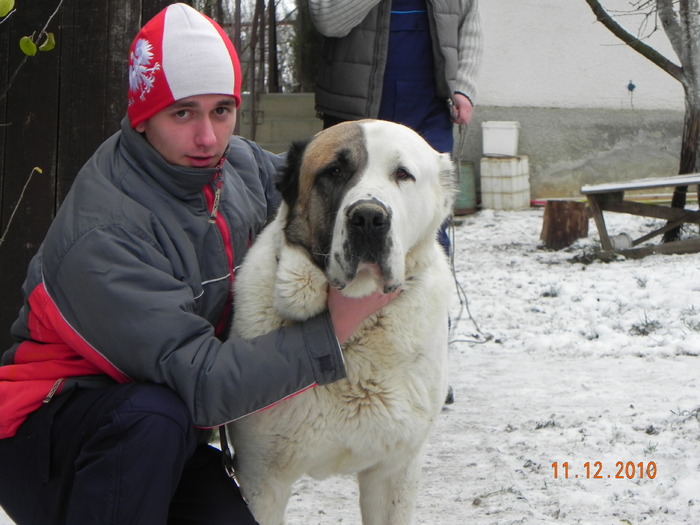 MURAT - z-CATEI vanduti - LOONA CU MURAT