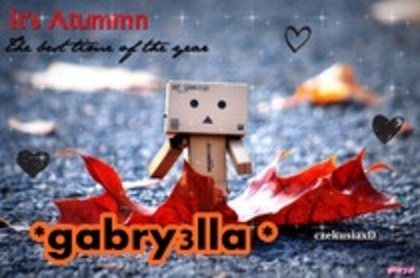 46587 - Danboo