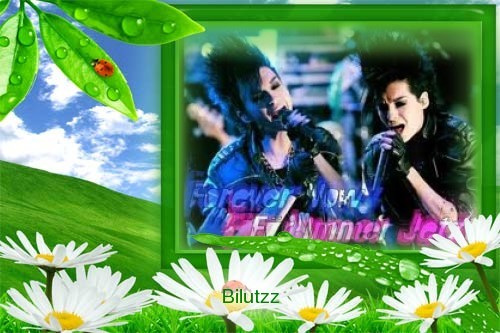 129885116020202677 - Poze modificate cu Bill si Tom Kaulitz