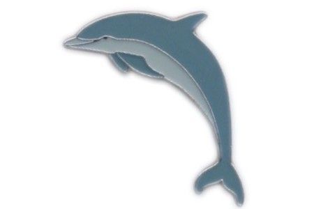 delfin_ins - delfini