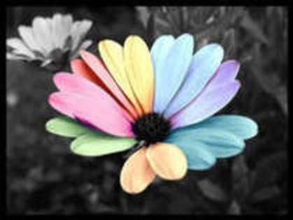 22557511_MMKUUPXGF - Color of life