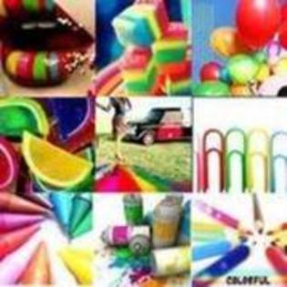 22557539_XBURYBHDU - Color of life