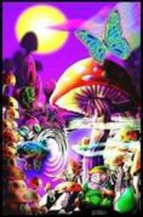 22557572_KDKFYPYAF - Color of life