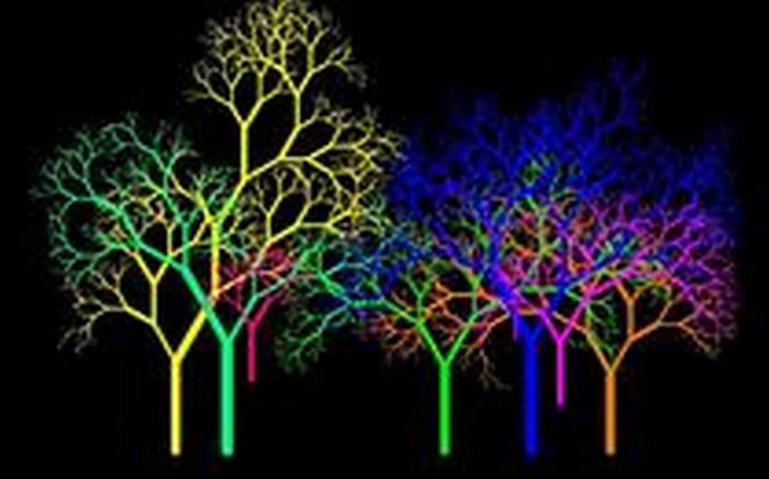 Colorful Trees - Color of life