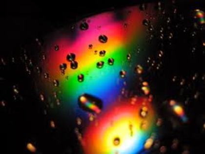 hhhhhhhhh - Color of life